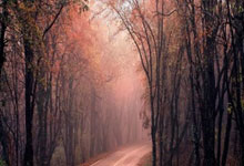 天涯论坛娱乐圈那些事：聊聊明星八卦趣闻