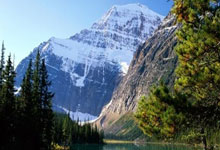 天涯论坛娱乐八卦景甜新鲜事。