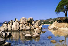 天涯论坛娱乐圈那些事：聊聊明星八卦趣闻